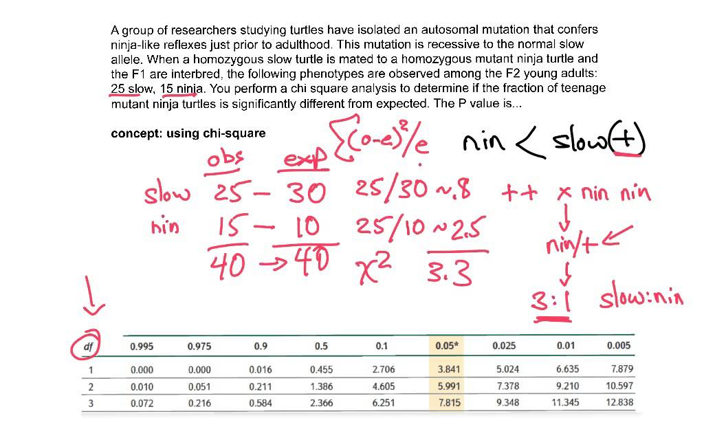 Chi Square In Genetics Examples AP Biology 53 OFF