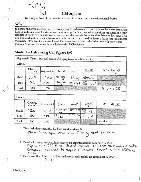 Chi Squared Practice Problems Answers PDF Chi Squared 