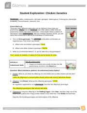 Chicken Genetics Gizmo 1 docx Student Exploration Chicken Genetics 