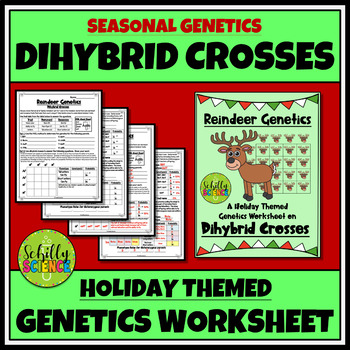 Christmas Dihybrid Cross Worksheet Reindeer Genetics Punnett Squares