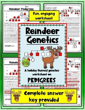 Christmas Pedigree Worksheet Reindeer Genetics By Schilly Science