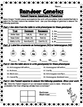 Christmas Punnett Square Worksheet Reindeer Genetics By Schilly Science