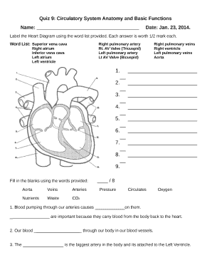 Circulatory System Anatomy And Basic Functions Worksheet Answers Fill 