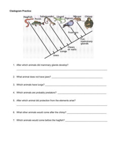 Cladograms And Genetics Worksheet For 10th Higher Ed Lesson Planet
