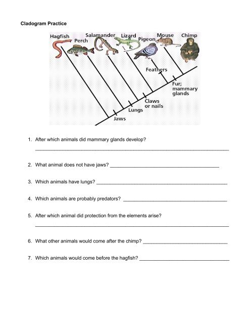 Cladograms And Genetics Worksheet For 10th Higher Ed Lesson Planet 