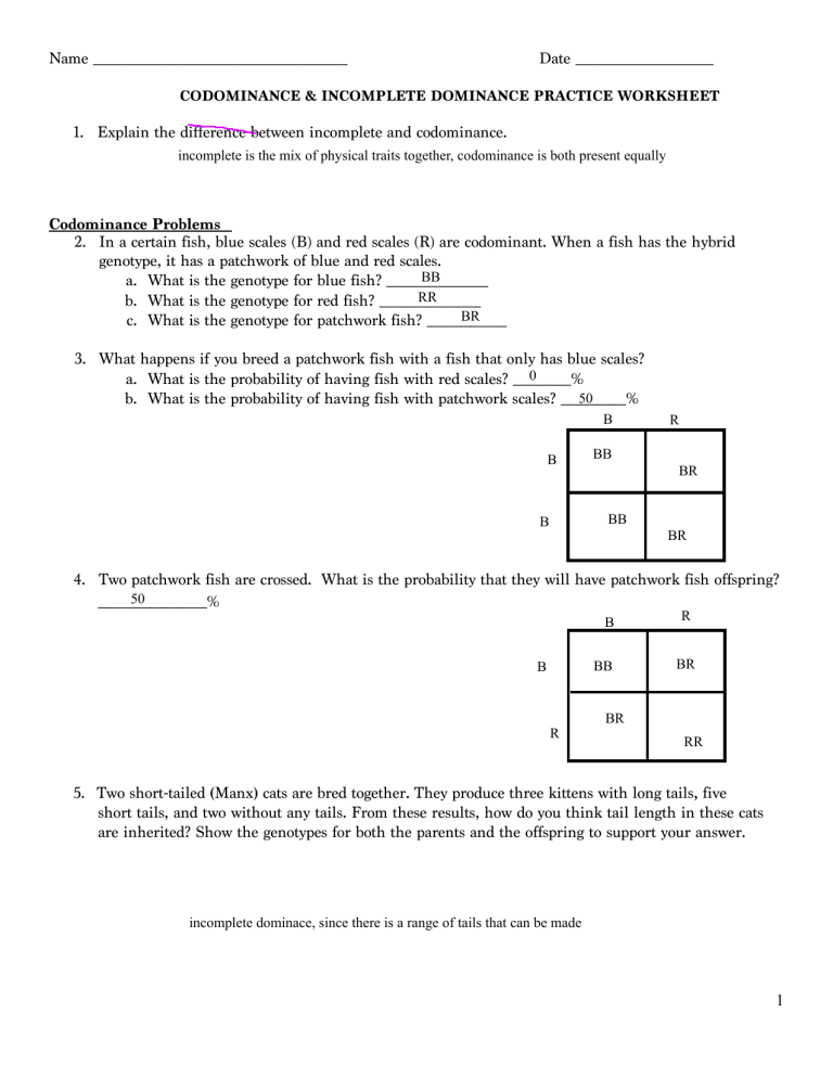Codominance Incomplete Dominance Practice Worksheet
