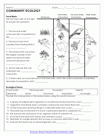 Community Interactions Worksheet Worksheet