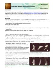 Comparative Anatomy Of The Domestic Chicken Student Worksheet pdf 