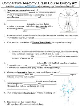 Comparative Anatomy Worksheet Answers Anatomy Reading Source