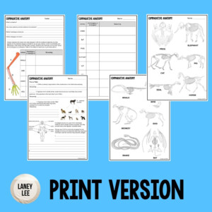 Comparative Anatomy Worksheets Printable Worksheets