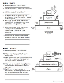 Comparing Ecological Pyramids By Science Lessons That Rock TpT