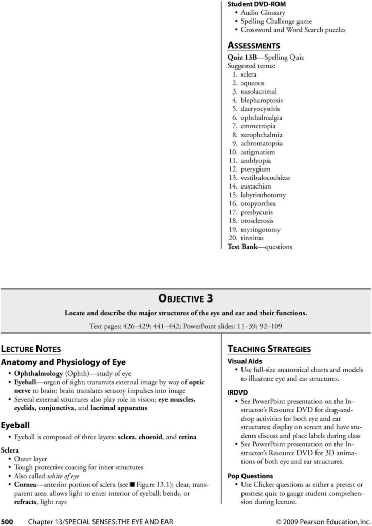 Comprehending Anatomy And Physiology Terminology Worksheet Anatomy