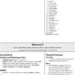 Comprehending Anatomy And Physiology Terminology Worksheet Answers 