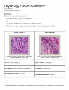 Copy Of 103 Physiology Basics Worksheet Physiology Basics Worksheet
