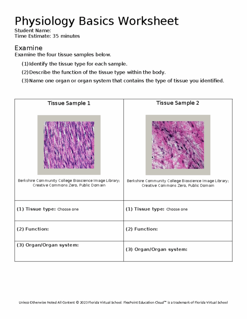 Copy Of 103 Physiology Basics Worksheet Physiology Basics Worksheet 