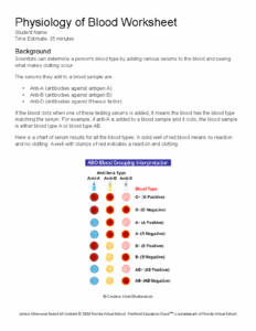 Copy Of 402 Physiology Of Blood Worksheet Physiology Of Blood