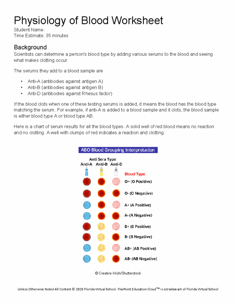 Copy Of 402 Physiology Of Blood Worksheet Physiology Of Blood 