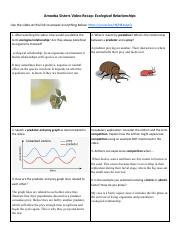 Copy Of Amoeba Sisters Video Recap Ecological Relationships pdf 