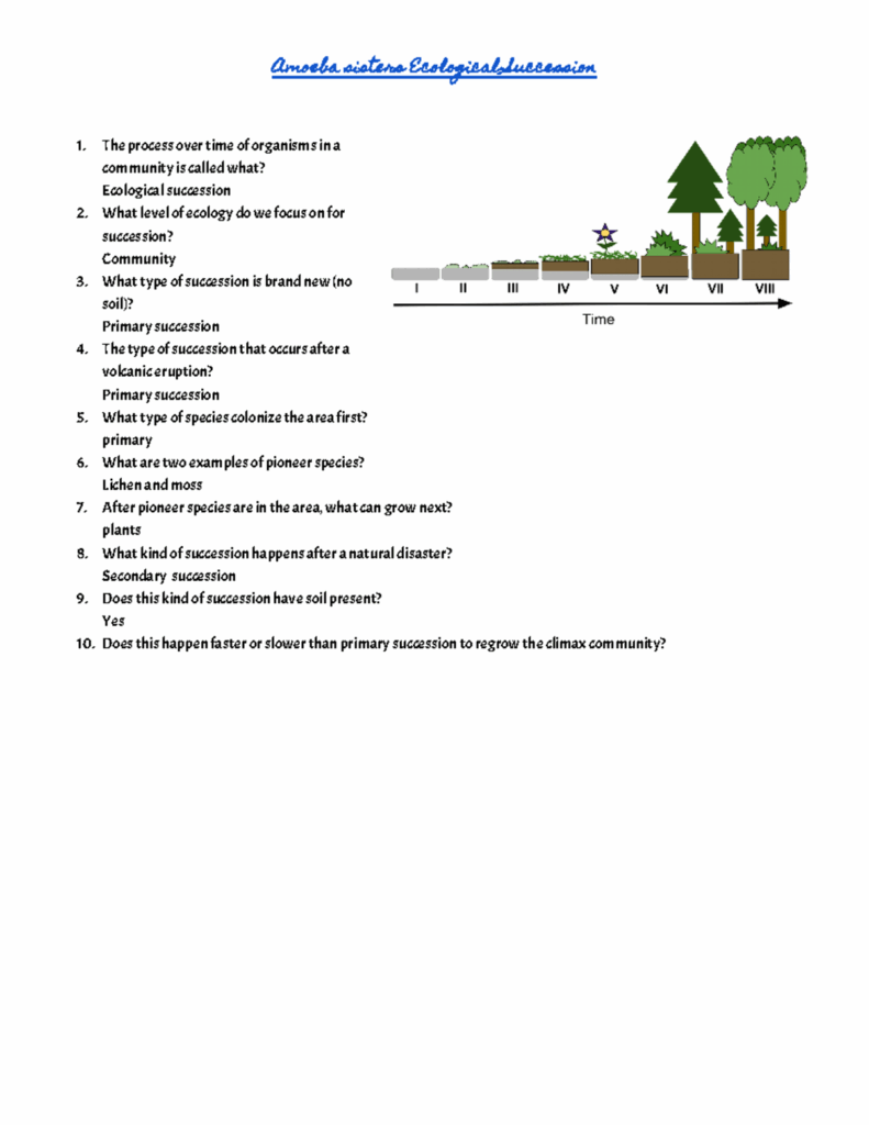 Copy Of Amoeba Siters Ecological Succession Amoeba Sisters Ecological 