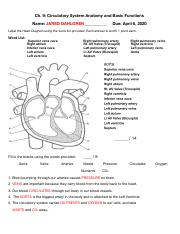 Copy Of Circulatory System Introduction Questions pdf Ch 9 
