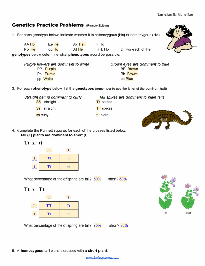 Copy Of Practice Simple Genetics remote Name Jamila 