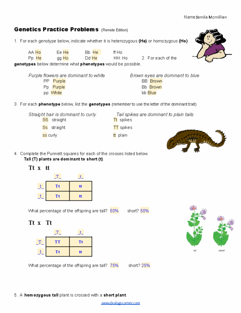 Copy Of Practice Simple Genetics remote Name Jamila Mcmillian 