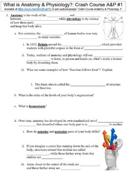 Crash Course Anatomy Physiology 1 What Is A P Worksheet By Danis 