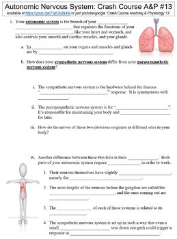 Crash Course Anatomy Physiology 13 Autonomic Nervous System Worksheet
