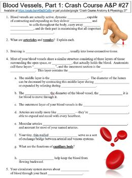 Crash Course Anatomy Physiology 27 Blood Vessels Part 1 Worksheet