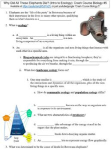 Crash Course Biology 5 Intro To Ecology Worksheet By Danis Marandis