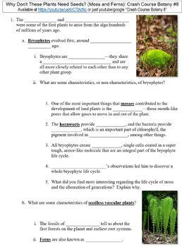 Crash Course Botany 8 Moss And Ferns Worksheet By Danis Marandis