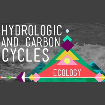 Crash Course Ecology 8 Worksheet Answer Key By Ms Dugger TPT
