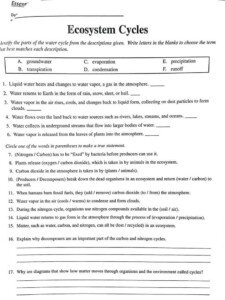 Cycles Worksheet Answer Key 29 Carbon Cycle Worksheet Answers Worksheet