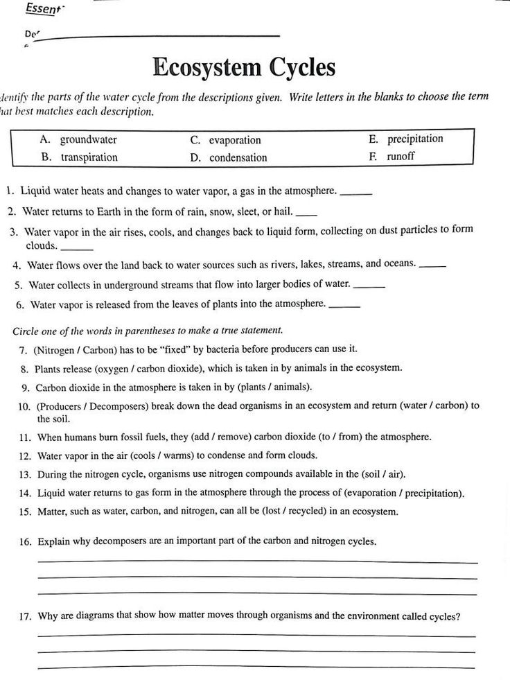 Cycles Worksheet Answer Key 29 Carbon Cycle Worksheet Answers Worksheet 