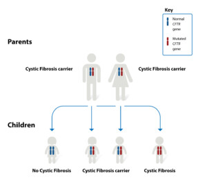 Cystic Fibrosis NHLBI NIH