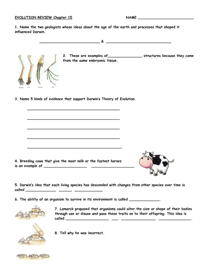 Darwin 39 s Theory Of Evolution Worksheet Chapter 15 Theory Of Evolution 