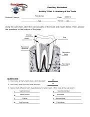 Dentistry Day 2 pdf Dentistry Worksheet Activity 2 Part 1 Anatomy Of 