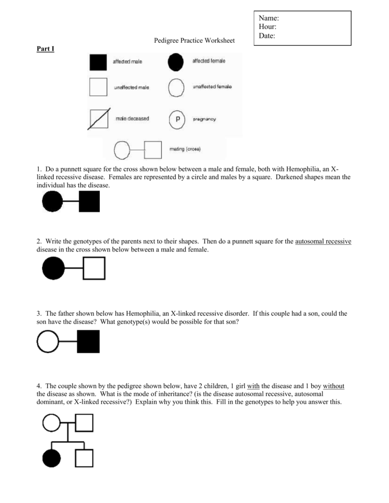  DIAGRAM Chemical Basis Of Genetics Interpreting Diagrams Answers 