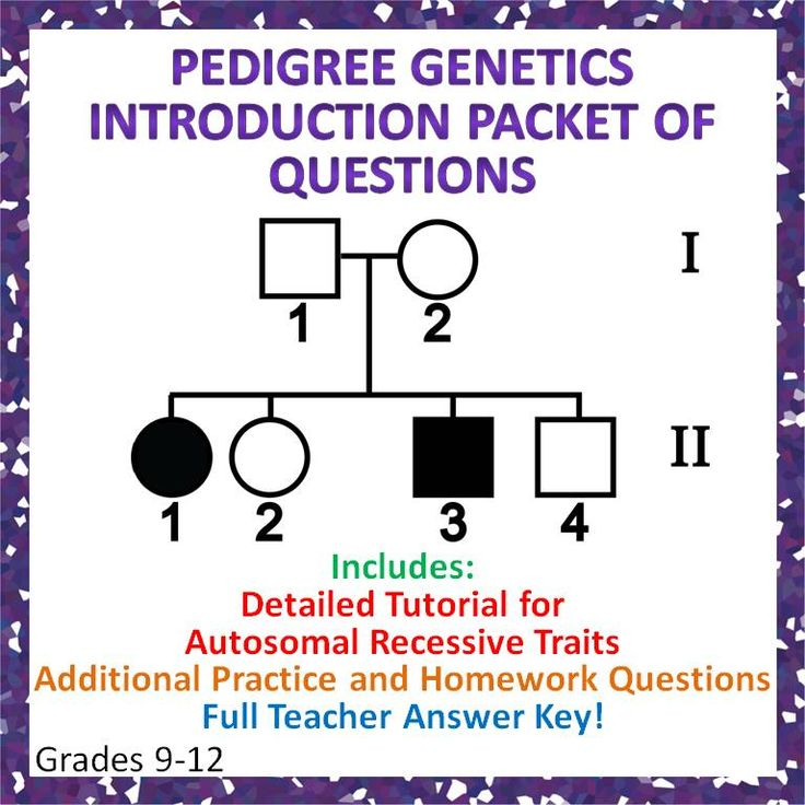 DIAGRAM Chemical Basis Of Genetics Interpreting Diagrams Answers 