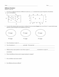 Diffusion Worksheet