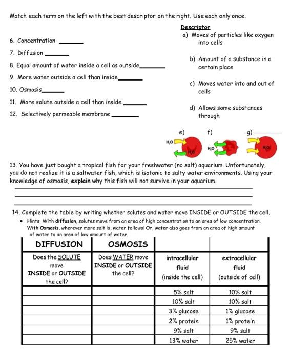 Diffusion Worksheets Free Printables Worksheets Library