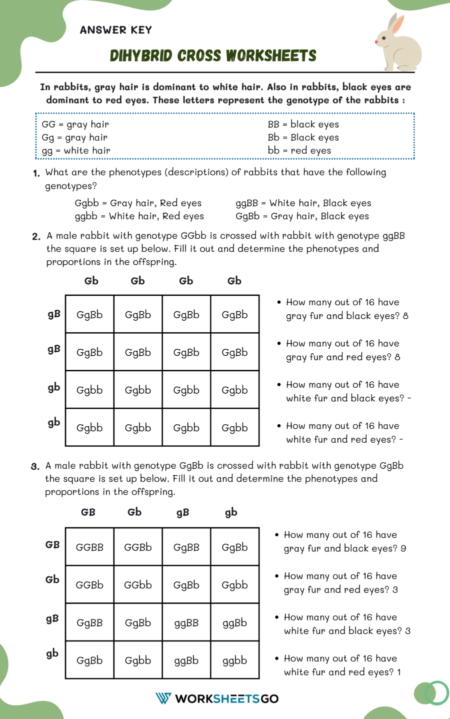 Dihybrid Cross Worksheets WorksheetsGO