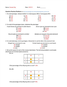 Dihybrid Crosses Worksheet Answer Key Unraveling The Genetic Puzzle