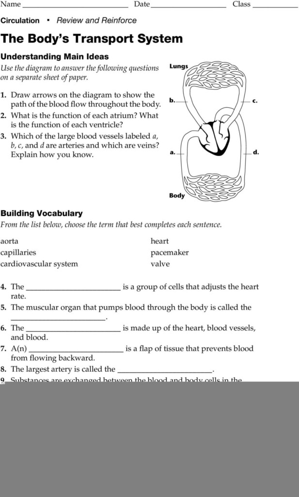 Directed Reading Worksheet With Answer Key Holt Biology Law Worksheet 