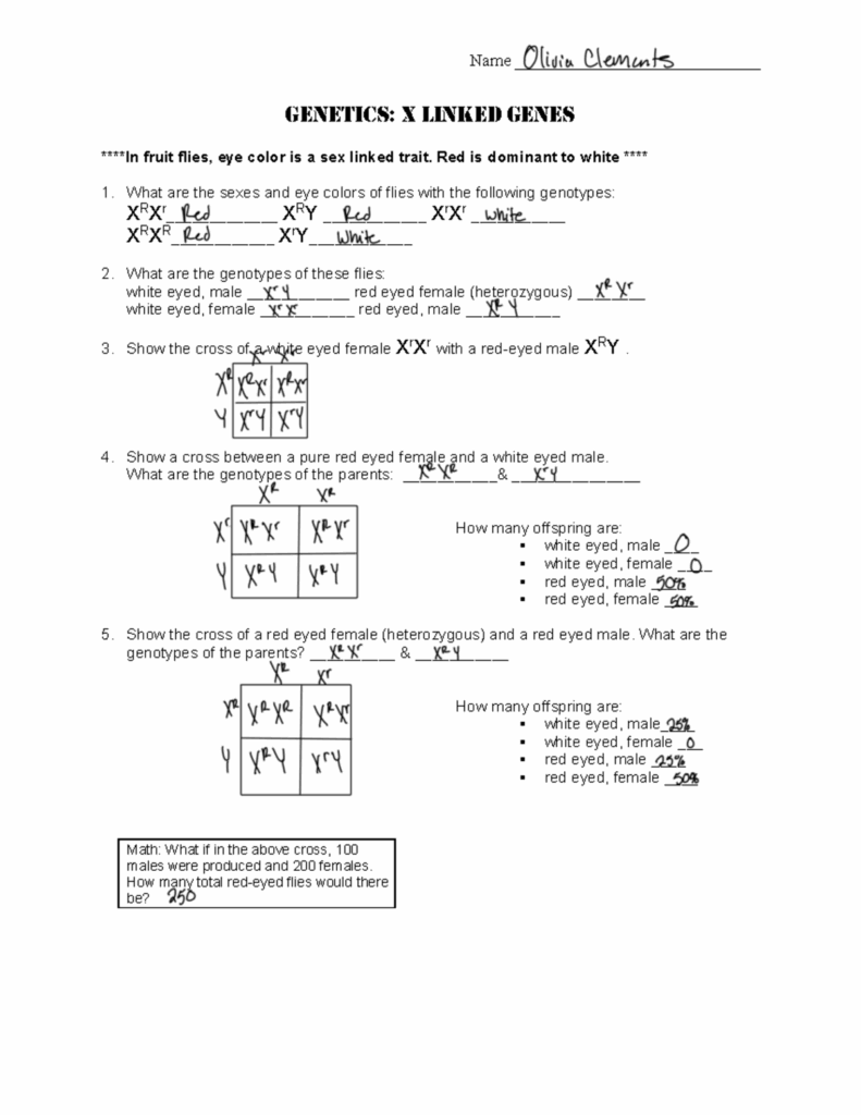 Dna And Genetics Lesson 3 Answer Key
