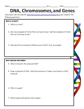 DNA Chromosomes And Genes Virtual Lab By MiddleSchoolScience Teacher