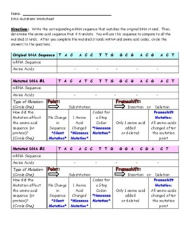 Dna Mutations Practice Worksheet Answer Key Pdf Genetic Mutations 