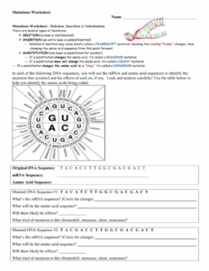 Dna Mutations Practice Worksheet Answers