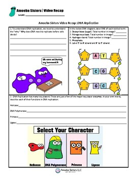 Dna Replication Amoeba Sisters Worksheets