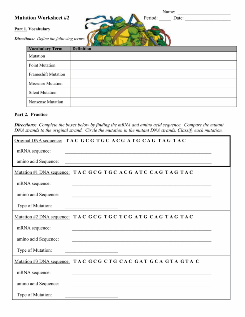 Dna Replication Transcription And Translation Worksheets